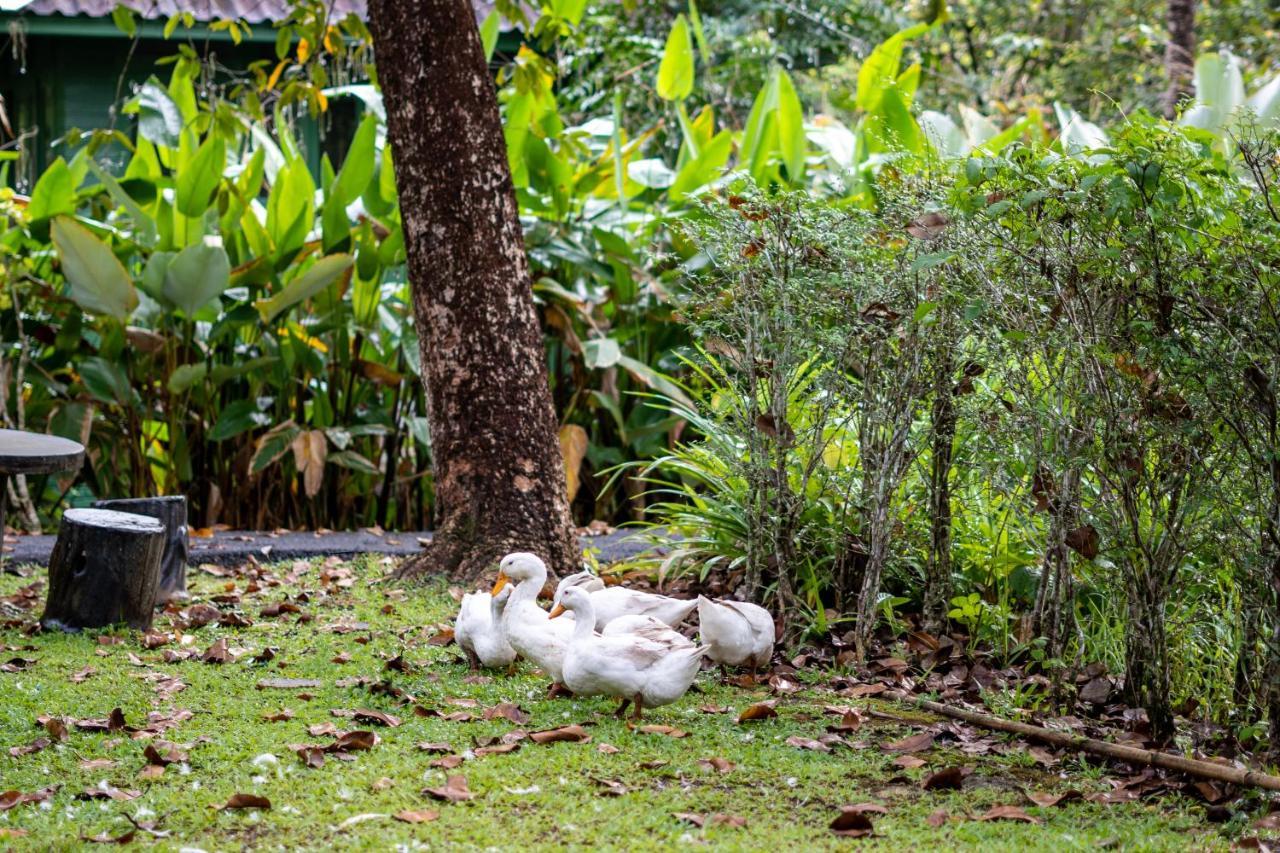 Blu Monkey Pooltara Krabi Hotel & Villas Pet Friendly Екстериор снимка