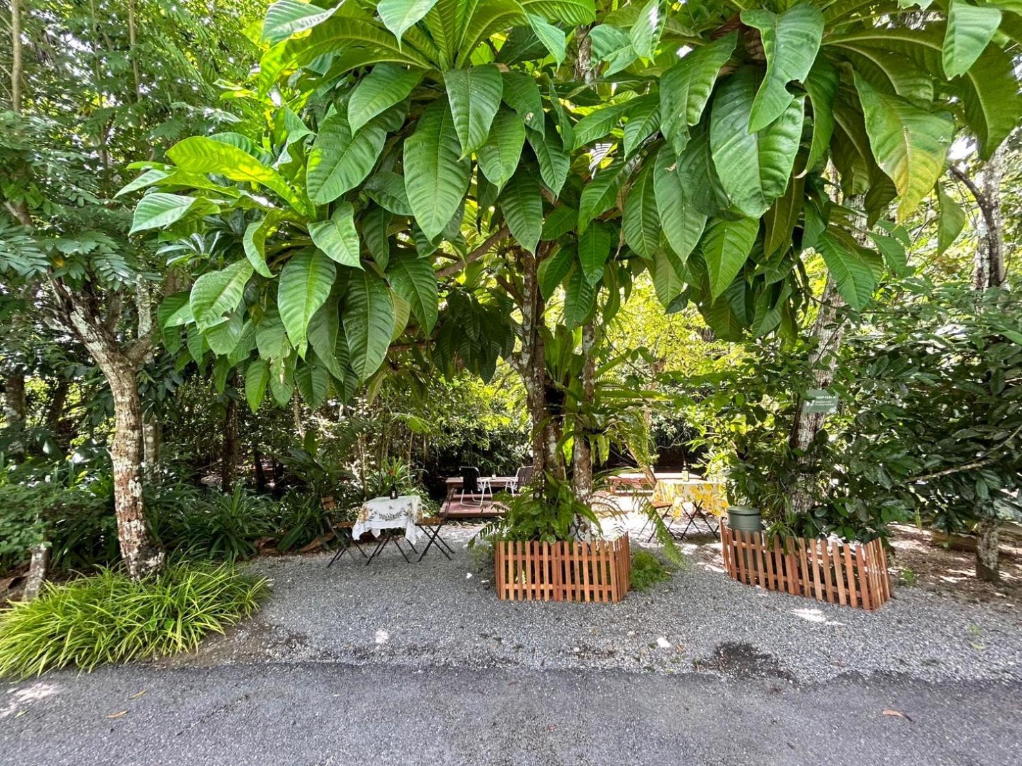 Blu Monkey Pooltara Krabi Hotel & Villas Pet Friendly Екстериор снимка