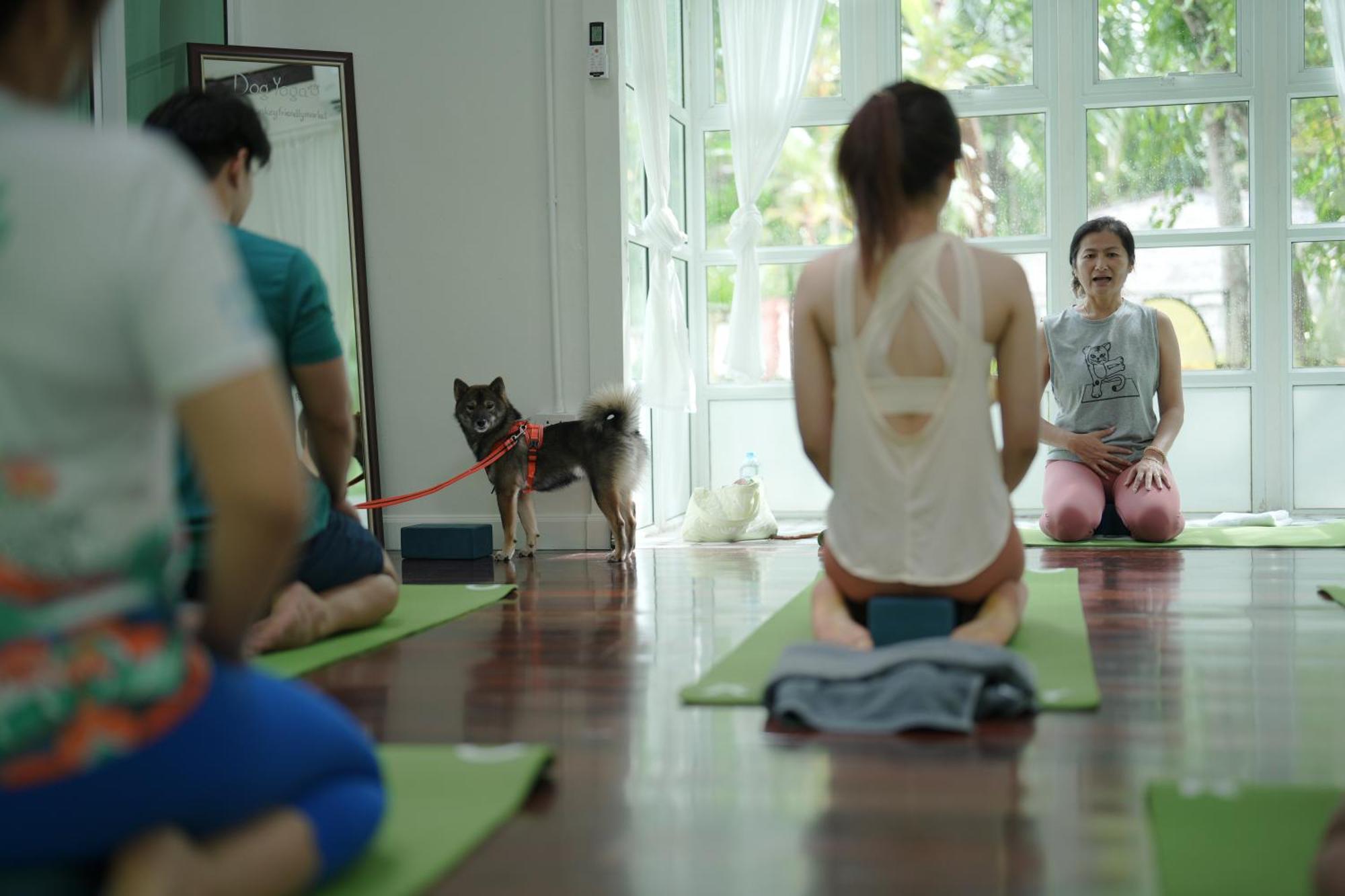 Blu Monkey Pooltara Krabi Hotel & Villas Pet Friendly Екстериор снимка